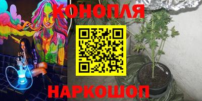 сатива Дмитров