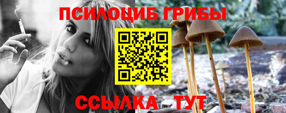 где купить наркотик  Псилоцибиновые грибы Cubensis  Вход с VPN  Воронеж 